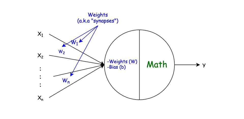 Neuron representation in Neural Networks