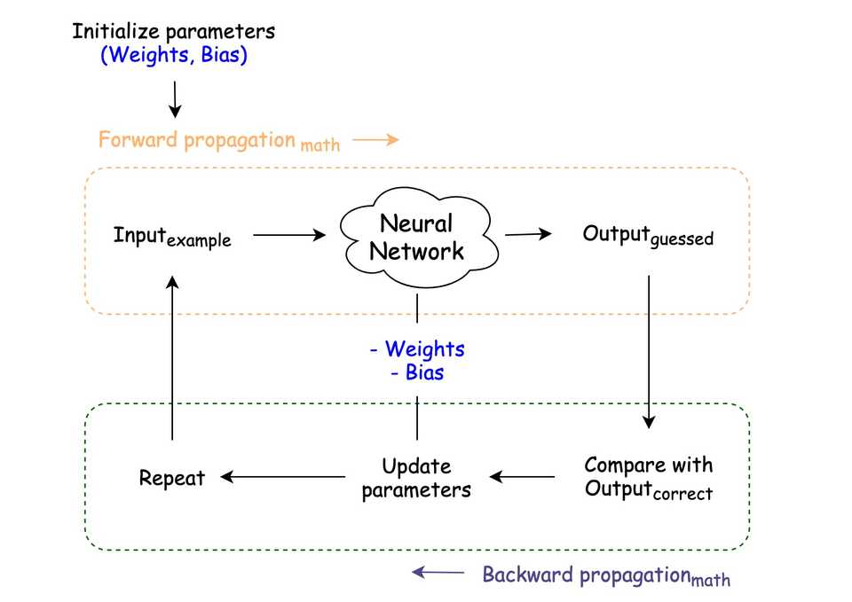 Neural Network training process